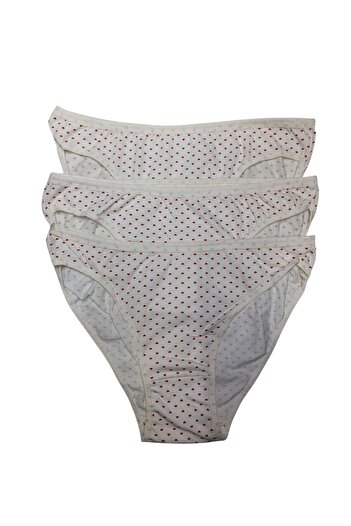 PATRON 3-Piece Standard Size Slip Panties