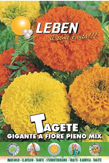 Leben Marigold (Tagete Gigante a Fiore Pieno Mix) Premium Quality Seeds