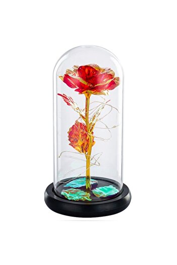 zggzerg Cryogenic rose in glass dome,