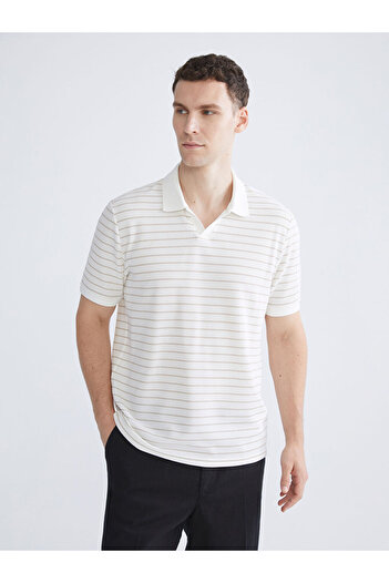 LC Waikiki Polo Neck Striped Men's T-Shirt