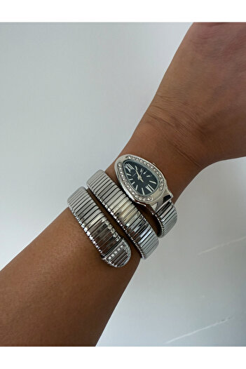 ACCESSORYHUB Silver Stone Snake Design Women's Steel Wrist Watch