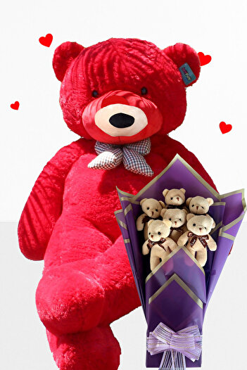 Sole Plush Teddy Bear 90 cm Bear and Purple Plush Teddy Bear Bouquet Gift for Lover Birthday Special Day Set
