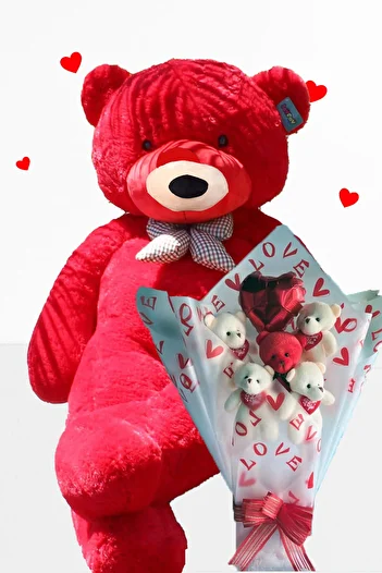 Sole Plush Teddy Bear 90 cm Plush Teddy Bear Birthday Gift Teddy Bear Bouquet Set for Special Day