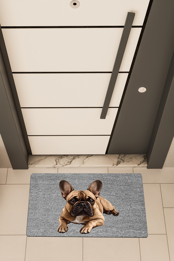 Dormot High Quality Digital Printing Gray, Dog Pug Themed Door Mat