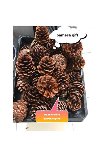 SAMESA HEDİYELİK Pinecone Christmas Decorations Hobby Painting Pinecones (20 Pieces)