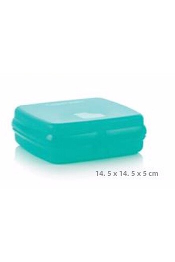 Tupperware Eco Plus Sandwich Box Green