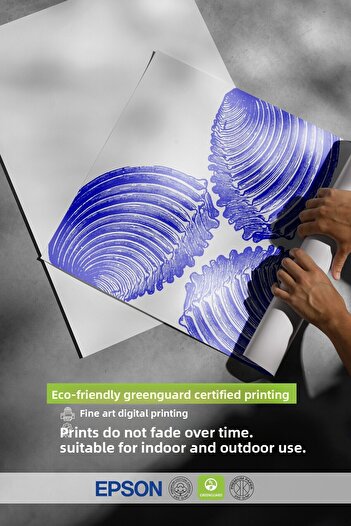 Postifull Frameless Wall Poster, Shells, Illustration, Blue, White Color Poster, 2025 Summer Selection, No:1098