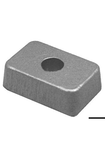 OSCULATI Anod Zinc Tohatsu 4-6 CP, 2/4 Timpi