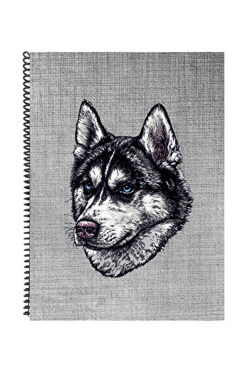 FLY COLOR A4 Spiral 96 Sheets Lined Notebook P.P Cover