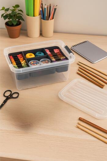 EWs 6.25 L Transparent Storage Box & Organizer Organizing Box