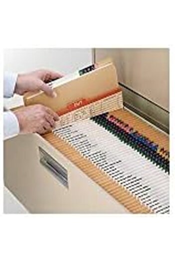 STOREMAX Snshop File Folder, Reinforced Straight Cut Tab, Letter Size, Kraft, 100 Per Box (1