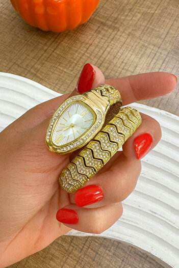 LOOQ Zircon Stone Detailed Snake Model Women's Wristwatch