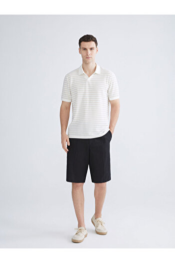 LC Waikiki Polo Neck Striped Men's T-Shirt