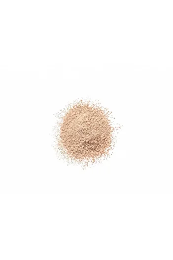 Clinique Blended Face Powder, 25 g- 04 TRANSPARENCY
