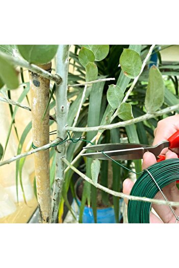 SGTT Green garden binding wire, 0.8mmx75m, PVC Coated