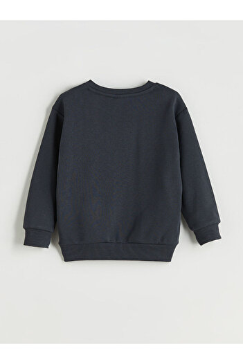 LC Waikiki Crew Neck Boy Sweatshirt