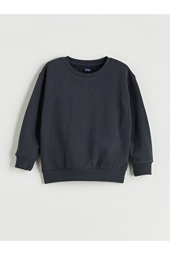 LC Waikiki Crew Neck Boy Sweatshirt