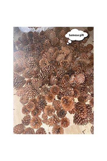SAMESA HEDİYELİK Pinecone Christmas Decorations Hobby Painting Pinecones (20 Pieces)