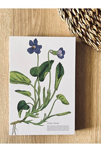 Fark Tanıtım A5 Enzo Striped Notebook with Special Design Cover - 180 Degree Opening, 100% Handcrafted