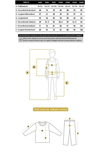 SETTY KOOP Kids Fleece Lined Tracksuit Set Boys 2 Piece Hoodie Zipper Jacket and Pants Outfit Sportswear