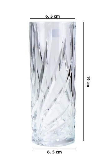 Jenisa Transparent Glass Flower Vase – Aesthetic and Luxurious Decoration