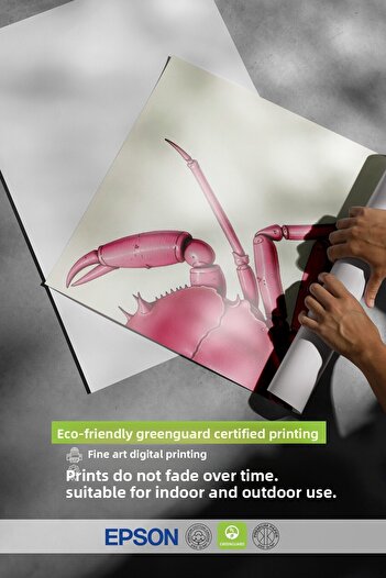 Postifull Wooden Framed Painting, Pink Crab, Illustration, Pink Color Poster, 2025 Summer Selection, No:109721