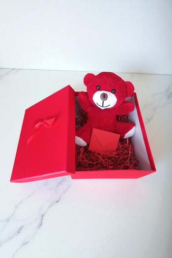 hediye Cute Plush Teddy Bears 25cm (Premium, in Gift Box, Note Writable)