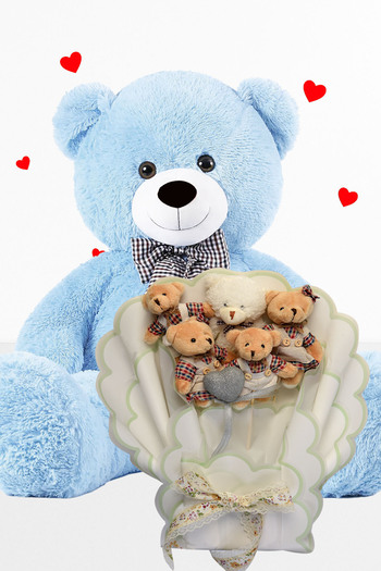 Sole 90 cm Teddy Bear Plush and Teddy Bear Bouquet with Clothes Valentine's Day Birthday Gift for Girlfriend
