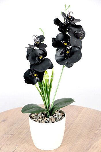 Yapay Çiçek Deposu Decorative 2-Piece Mini Artificial Wet Orchid Arrangement Black 40 cm