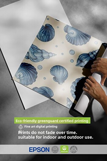 Postifull White Framed Poster, Seashells, Illustration, Blue Color Poster, 2025 Summer Selection, No:109692