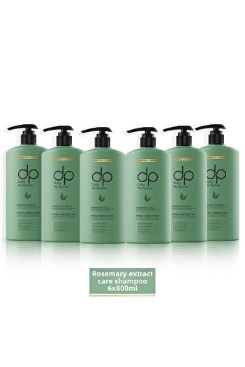 dp Daily Perfection Shampoo Rosemary Extract 800 ml X 6 Pieces