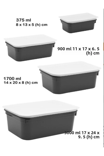 VİALEX Nevizade 4-Piece Storage Container with Lid (375-900-1700-3000 ml) - Anthracite
