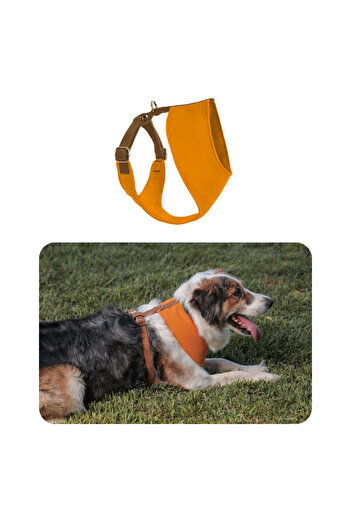 GoPawGo Harlowe Soft Dog Collar - Comfortable and Stylish