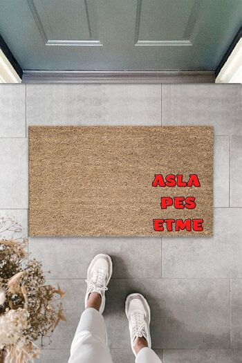 Dormot Modern Digital Printing - Motivational Doormat - Never Give Up - Decorative Doormat