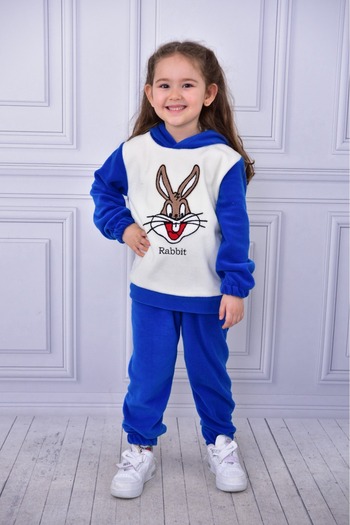 ruhaay Fleece Rabbit Embroidery Long Sleeve Hoodie Winter Bottom Top Children's Suit