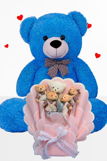 Sole 90 cm Plush Teddy Bear and Teddy Bear Bouquet with Clothes Valentine's Birthday Gift for Sweetheart Girl