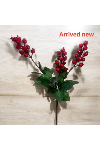 Yenigeldi 60 cm Cockina and Leaf Christmas Ornament Ornament Decoration - 2 Pieces 3 Branches T1122