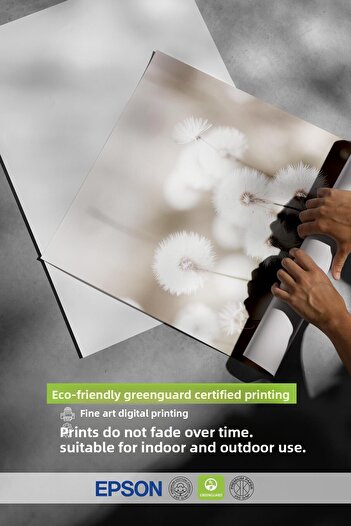 Postifull Cottongrass Poster, Frameless Wall Poster, Vertical Wall Painting Comfort Series No: 108310