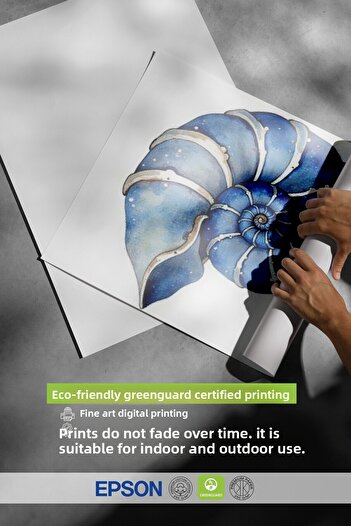 Postifull Frameless Wall Poster, Seashell, Illustration, Blue Color Poster, 2025 Summer Selection, No:109576