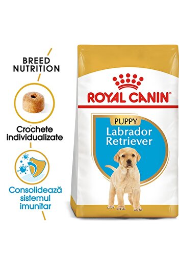 Royal Canin Royal Canin Labrador Puppy dry food for junior dogs, 3 kg