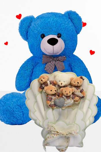 Sole 90 cm Teddy Bear Plush and Teddy Bear Bouquet with Clothes Valentine's Day Birthday Gift for Girlfriend
