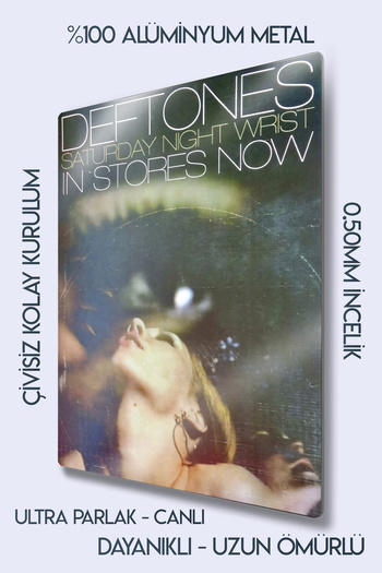 DekorHane Metal Print - Deftones Poster Metal Painting - Special Wall Decor for Rock Lovers, Gift Album Cover