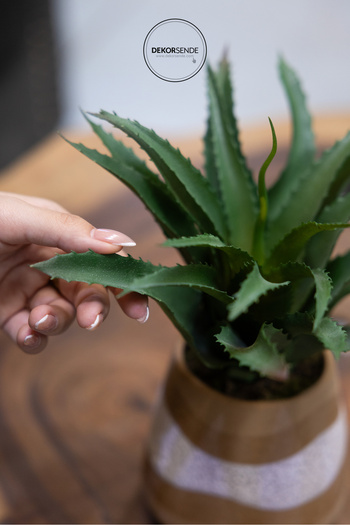 Dekorsende Cactus artificial ascuțit