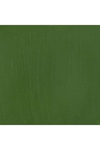 Winsor Newton Winsor & Newton Professional Akrilik Boya 60ml Chromium Oxide Green 162 S.3