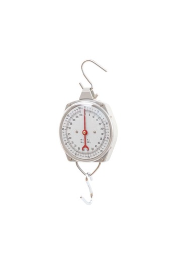 Zep Premium suspended scale, max. 50 kg, robust and precise