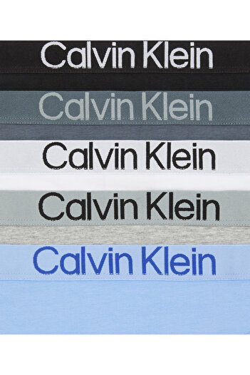 Calvin Klein Kadın Marka Logolu Elastik Bantlı Günlük Kullanıma Uygun 5 Farklı Renk Külot LV00QD5332