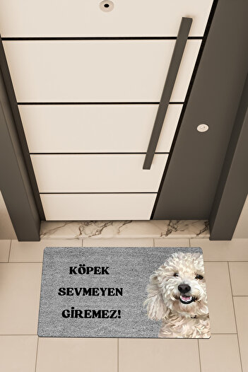 Dormot High Quality Digital Printing Gray, No Dog Lover Can Enter4 Themed Door Mat