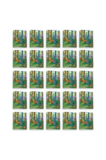 Katartis Pack of 25 dictation notebooks, A5, 48 sheets