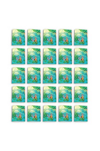 Katartis Pachet 25 caiete tip 1, A5, 48 file