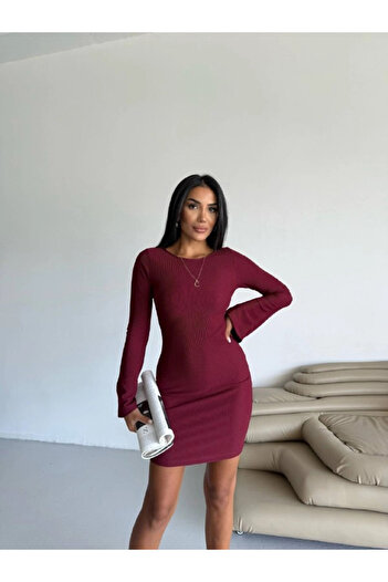 hazelin Women's Burgundy Long Sleeve Ottoman Fabric Dress Hzl25W-Fry123341